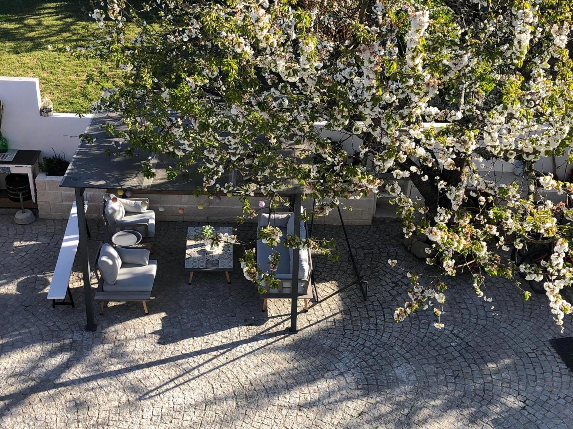 Casa Da Avo Olinda Villa Góis Exteriör bild
